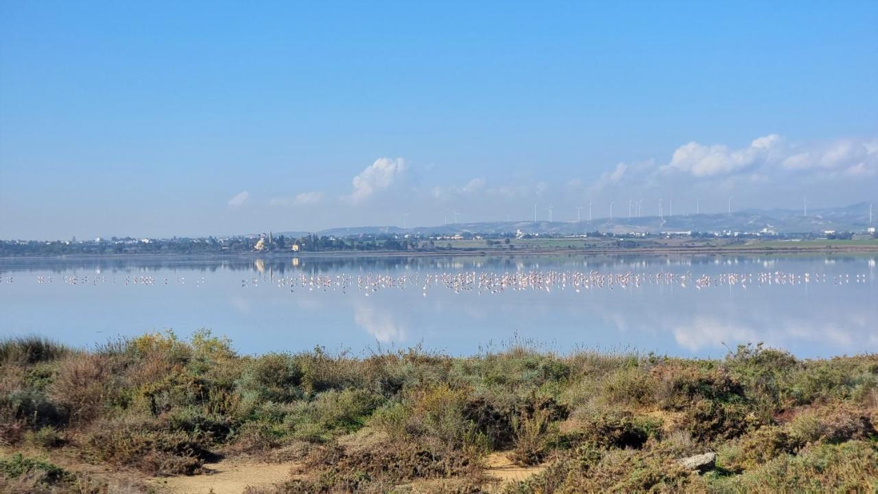 Cozy Beach Apt / 100 Mbit+ Netflix / Near Airport Λάρνακα Εξωτερικό φωτογραφία